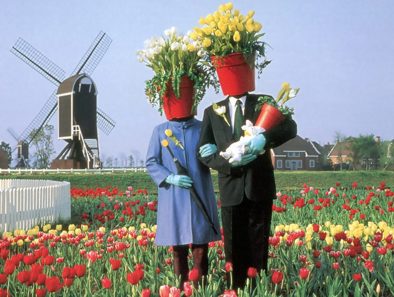 Flowerpots Tulips Treated 1 E1542892620776 1600X1000